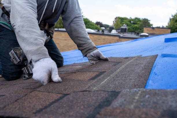 Best Roof Moss and Algae Removal  in Candor, NC